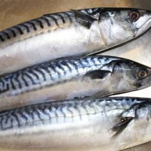 Original Titus (2-5), 1 Carton